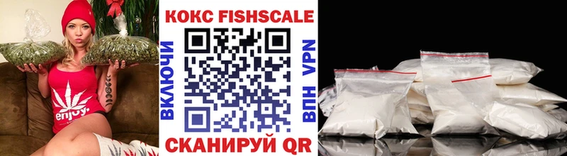 Кокаин Fish Scale  hydra маркетплейс  Касимов 